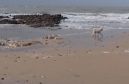 Saint-Georges-d'Oleron House | CHARMING HOUSE NEAR THE BEACH