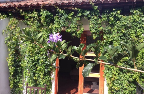 Antigua Guatemala House | Charming Home, Beautiful Decorated in famous Central Antigua