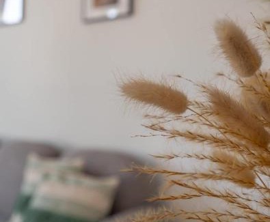 Historical Center Bruges Apartment | Charming Home in the City Center of Bruges