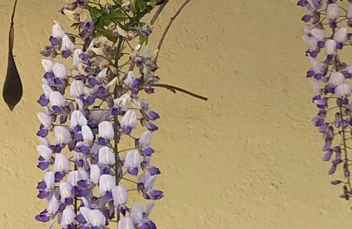 Noe Bed & Breakfast | Charming house, 4 bedrooms, 2 s. bathroom, swimming pool, garden, parking, SPA