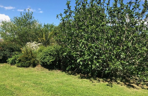 Noe Bed & Breakfast | Charming house, 4 bedrooms, 2 s. bathroom, swimming pool, garden, parking, SPA