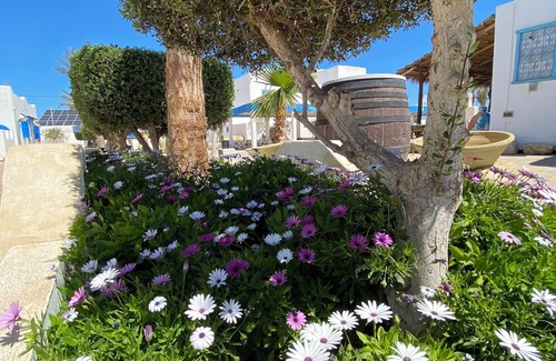 Erriadh House | Charming house Dar Lella Baya.