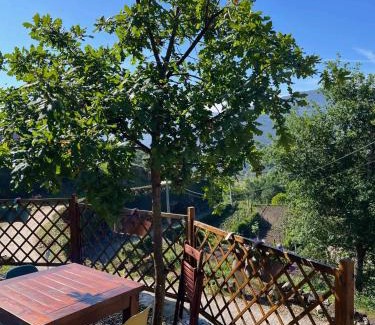 Mondim de Basto House | Charming House in Vilar de Ferreiros with Shared Pool