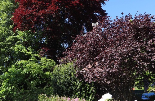 Dieppe House | Charming house with flower garden (beach 10min walk)