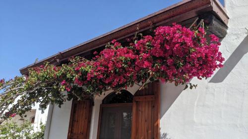 La Ciaccia House | Charming house with sea view in Valledoria