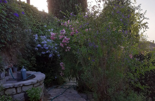 Speracedes House | Charming Mazet Provencal