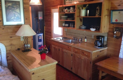 Bemidji Cabin | Charming Northwoods Lake Cabin and Guest Cabin in Private, Natural Setting