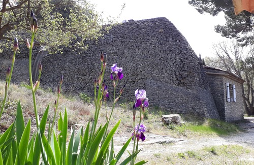 Saumane-de-Vaucluse House | Charming old farmhouse isolated in the countryside of Provence