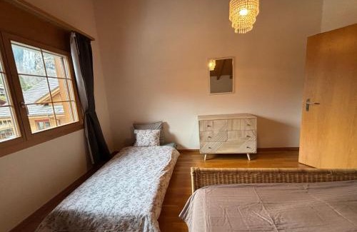 Lauterbrunnen Apartment | Charming Penthouse