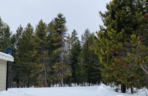 Cascade House | Charming, private 3-bedroom cabin