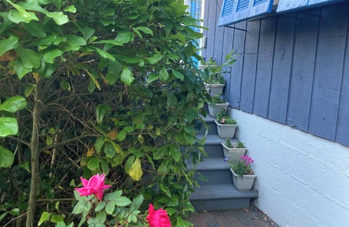 Myrtle Beach House | CHARMING, PRIVATE GETAWAY!/1 Block - Beach!/ENTIRE House/UPSCALE LOCATION/Pets-!