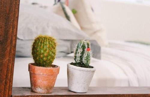Tempe Apartment | Charming Southwest Studio Blocks to Dntwn Tempe (A)