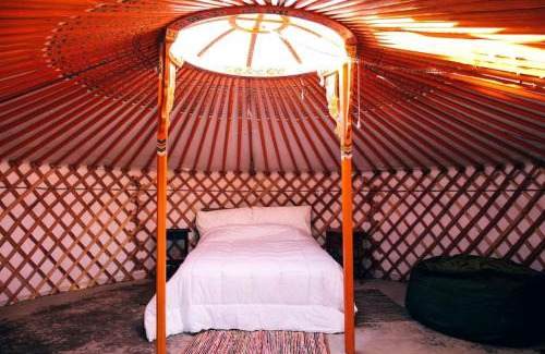 Twentynine Palms Other | Charming Stargazing Yurt near Joshua Tree National Park, California