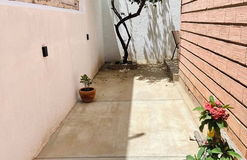Oaxaca Apartment | Charming studio in amazing Oaxaca de Juárez with WiFi
