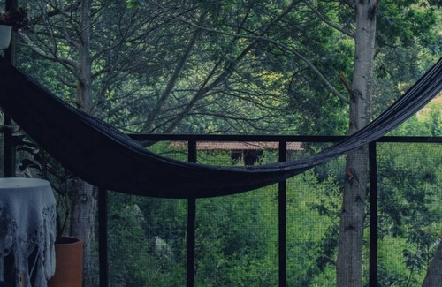 Sutatausa Cabin | Charming Tiny House in the mountains near Bogota!