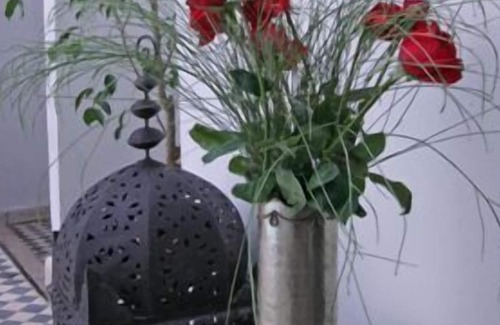 Bab Doukkala House | CHARMING TRADITIONAL RIAD IDEALLY LOCATED IN THE MEDINA OF MARRAKESH