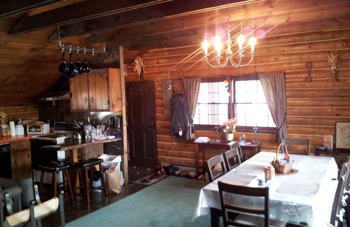 Wardsboro Cabin | Charming Traditional Log Cabin In Between Mt. Snow And Stratton with Sauna/WIFI