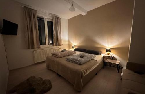 Villingen-Schwenningen Apartment | Charming Vacation Home In The Black Forest