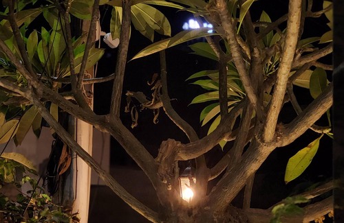 Jaipur Villa | Charming villa in amazing Jaipur with WiFi and AC