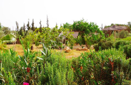 Ounagha Villa | Charming villa with pool 15 min from Essaouira 10 bedrooms, 10 bathrooms.