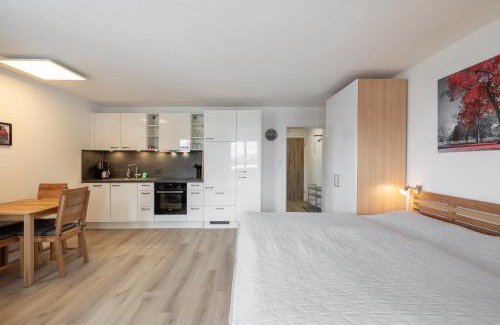 Vulpera Apartment | Chasa Valbernard 4201