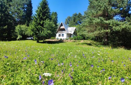 Smizany Ski Chalet | Chata Bosorečka