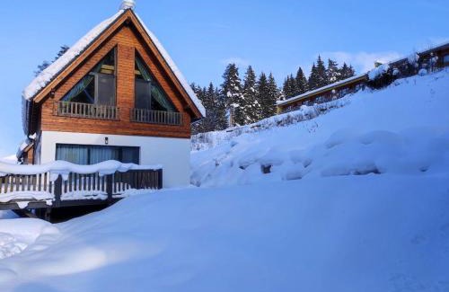 Demanovska Dolina Ski Chalet | Chata Demian