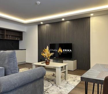 Gelnica Apartment | Chata Erika
