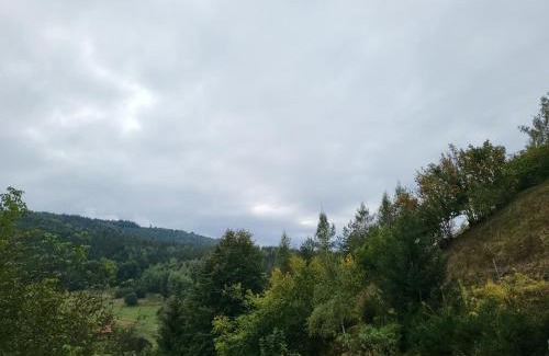 Hrinova Apartment | Chata Hriňová