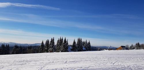 Bedrichov Ski Chalet | Chata Magistrála