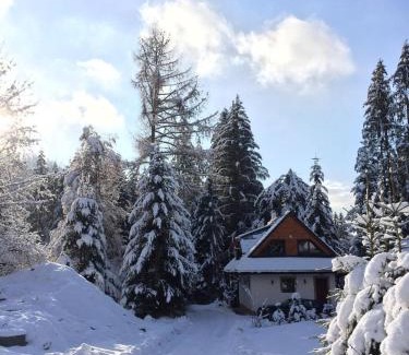 Myto pod Dumbierom Ski Chalet | Chata Mlynná