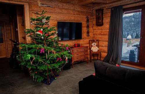 Wisla Villa | Chata Odskocznia - balia, sauna