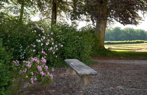 Joyeux House | Chateau de Joyeux - Gites