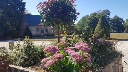 Saint-Pierre-des-Nids House | Chateau du Plessis Bochard