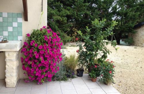 Saint-Estephe House | Chateau Haut Baron