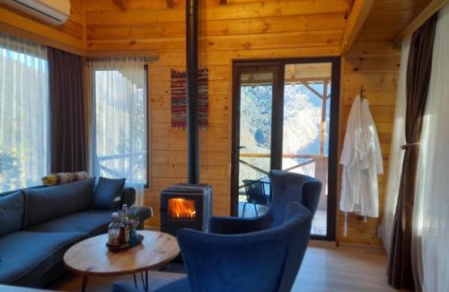 Adjara House | Chateau Maxuntseti