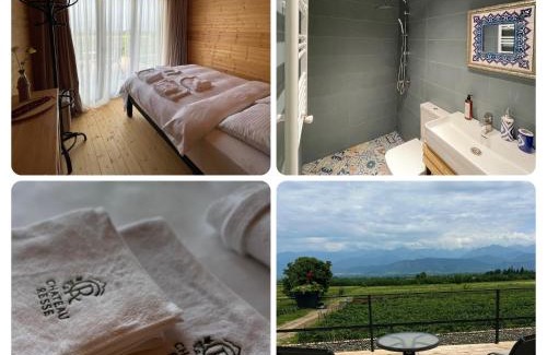 Telavi Hotel | Chateau Resse