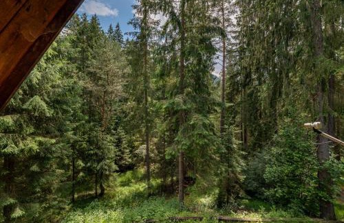 Ruzomberok Ski Chalet | Chatka v lese