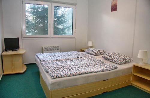 Patince Resort | Chatova osada Family Resort Thermalpark inclusiv