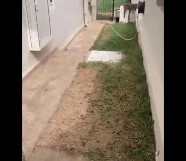 Chott Mariem Apartment | Chatt Mariam sousse m Paradize 2 bedrooms appartement