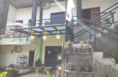 Banyuwangi House | Cheap Inn Banyuwangi