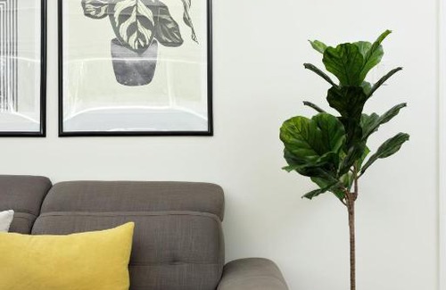 Burnaby House | Cheerful 3 BR beautiful house