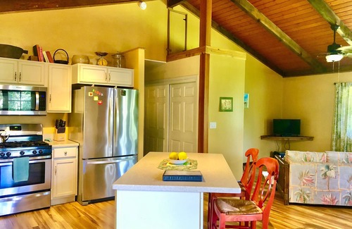 Orchidlands Estates House | Cheerful, spacious home filled with Aloha!