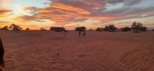 El Gouera Other | Chegaga desert Trips camp
