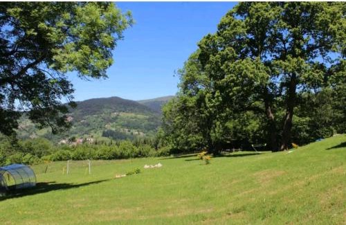 Ambert Bed & Breakfast | Cheix de Céline & Mathieu