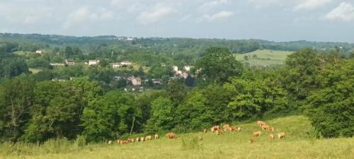 Solignac House | Cherveix