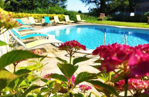 Langoelan House | Chestnut