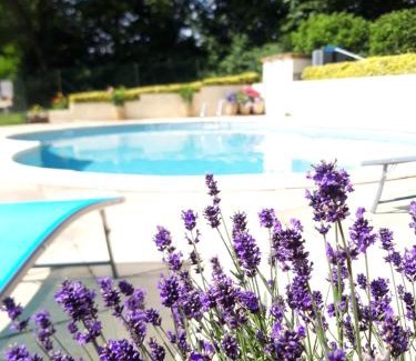 Langoelan House | Chestnut