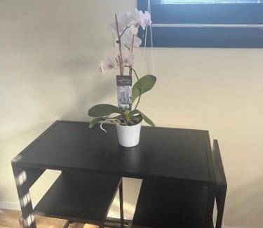 Decines-Charpieu Apartment | Chez Annick, studio proche tram, Groupama Stadium, LDLC Arena
