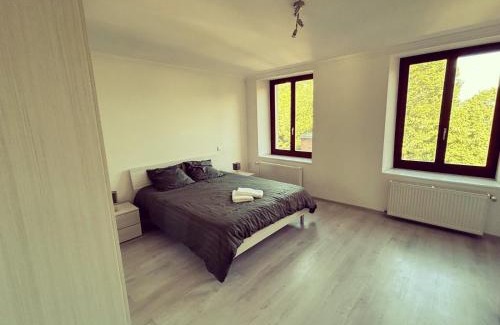 Sainte-Marie-aux-Mines Apartment | Chez Aurel & Manu